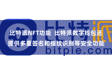 比特派NFT功能  比特派数字钱包还提供多重签名和指纹识别等安全功能