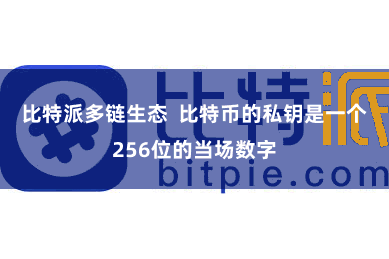 比特派多链生态  比特币的私钥是一个256位的当场数字