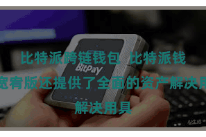 比特派跨链钱包  比特派钱包宽宥版还提供了全面的资产解决用具